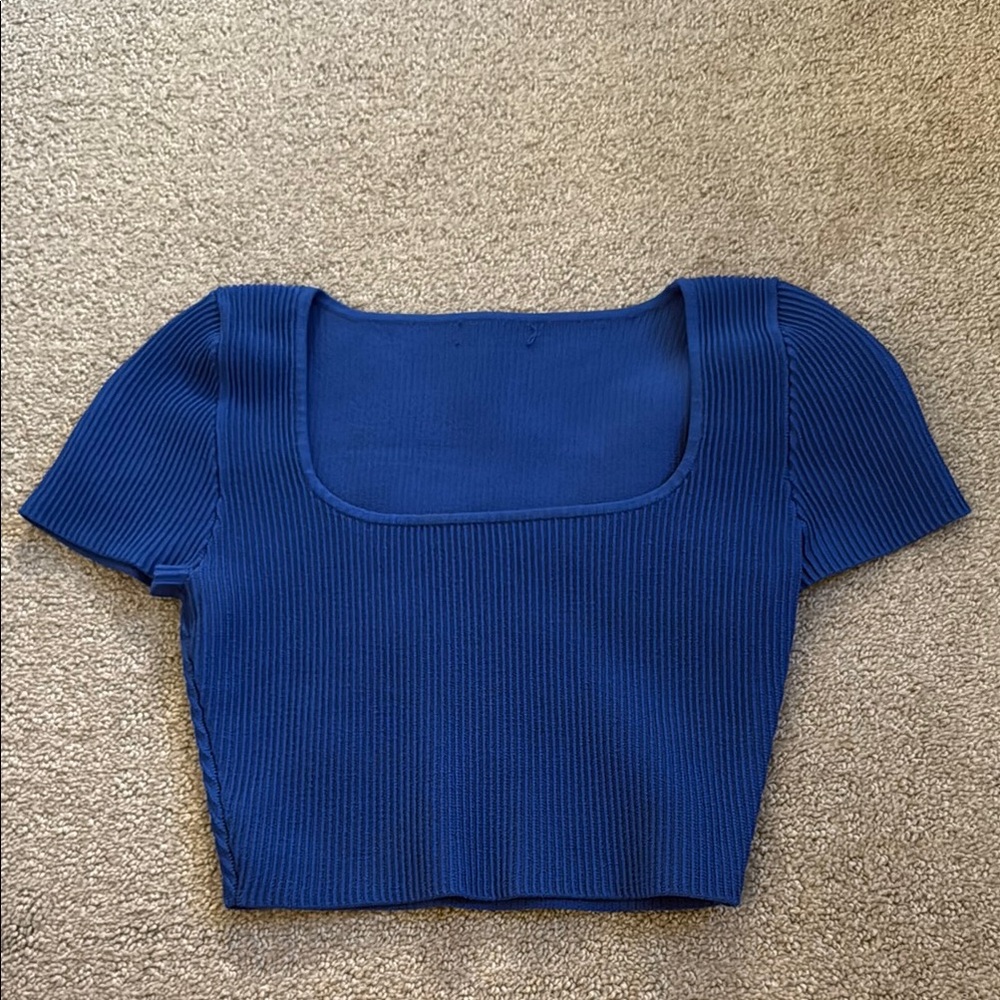 Aritzia Blue Ribbed Cap Sleeve Crop Blouse